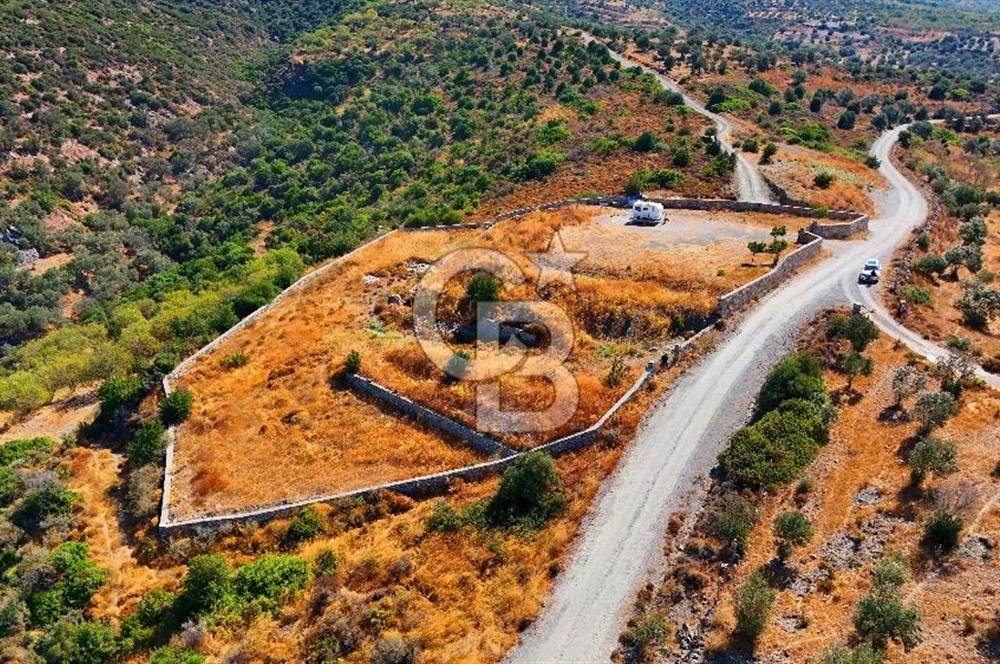 🌿 DATÇA / CUMALI DEĞİRMENBÜKÜ’NDE DOĞA VE DENİZLE İÇ İÇE BİR YAŞAM! 🌿