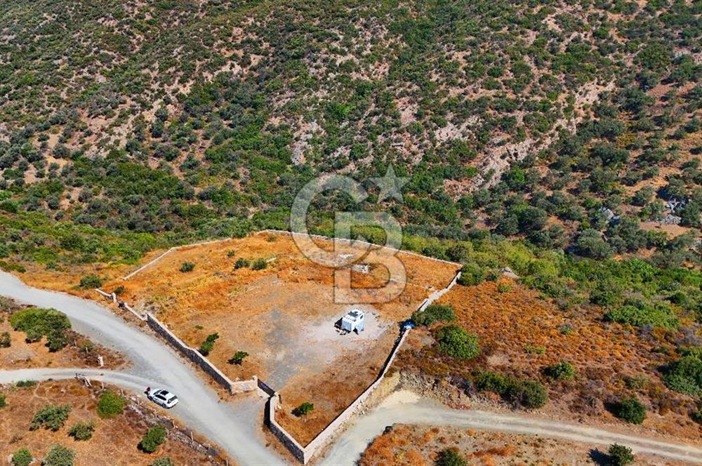 🌿 DATÇA / CUMALI DEĞİRMENBÜKÜ’NDE DOĞA VE DENİZLE İÇ İÇE BİR YAŞAM! 🌿