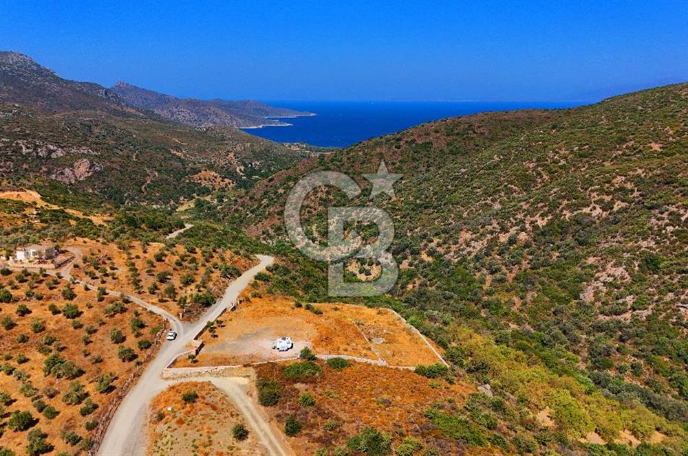 🌿 DATÇA / CUMALI DEĞİRMENBÜKÜ’NDE DOĞA VE DENİZLE İÇ İÇE BİR YAŞAM! 🌿