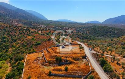 🌿 DATÇA / CUMALI DEĞİRMENBÜKÜ’NDE DOĞA VE DENİZLE İÇ İÇE BİR YAŞAM! 🌿