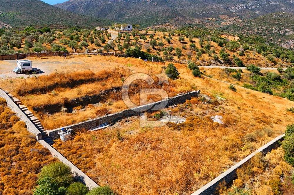 🌿 DATÇA / CUMALI DEĞİRMENBÜKÜ’NDE DOĞA VE DENİZLE İÇ İÇE BİR YAŞAM! 🌿