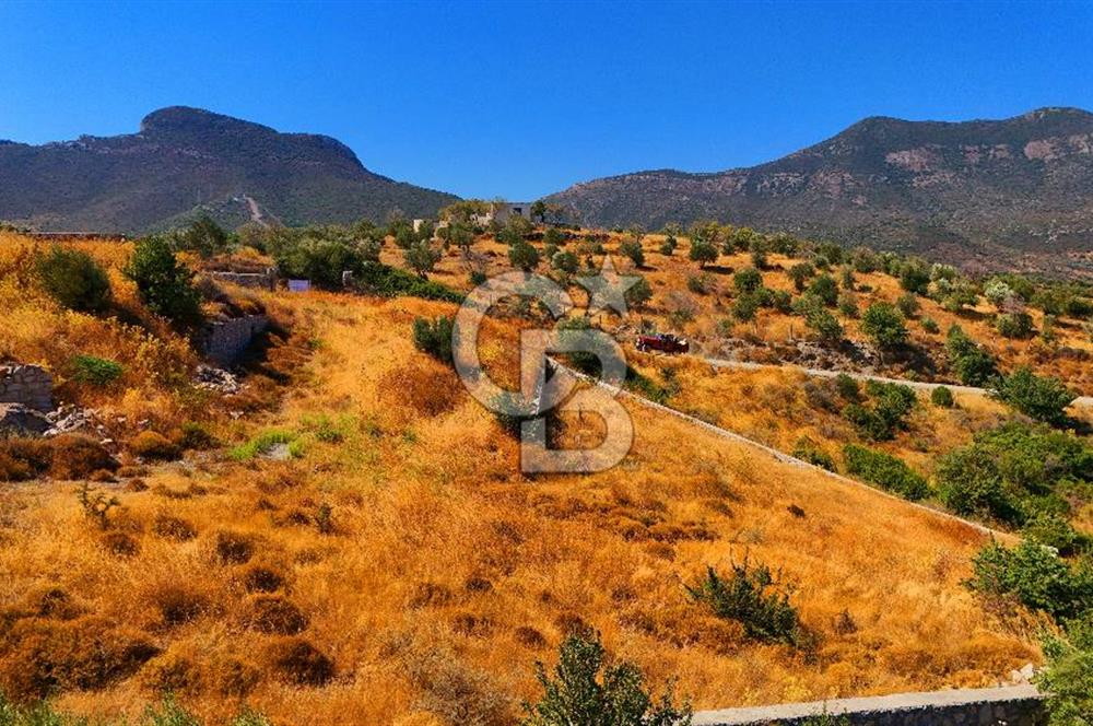 🌿 DATÇA / CUMALI DEĞİRMENBÜKÜ’NDE DOĞA VE DENİZLE İÇ İÇE BİR YAŞAM! 🌿