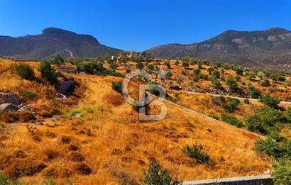 🌿 DATÇA / CUMALI DEĞİRMENBÜKÜ’NDE DOĞA VE DENİZLE İÇ İÇE BİR YAŞAM! 🌿