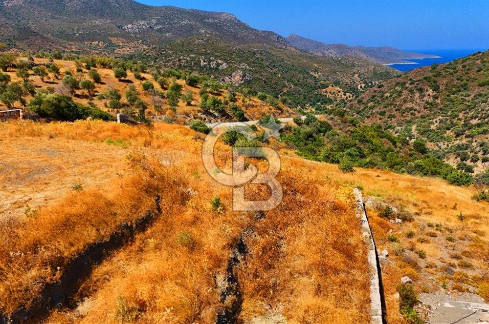 🌿 DATÇA / CUMALI DEĞİRMENBÜKÜ’NDE DOĞA VE DENİZLE İÇ İÇE BİR YAŞAM! 🌿