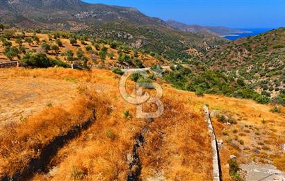 🌿 DATÇA / CUMALI DEĞİRMENBÜKÜ’NDE DOĞA VE DENİZLE İÇ İÇE BİR YAŞAM! 🌿