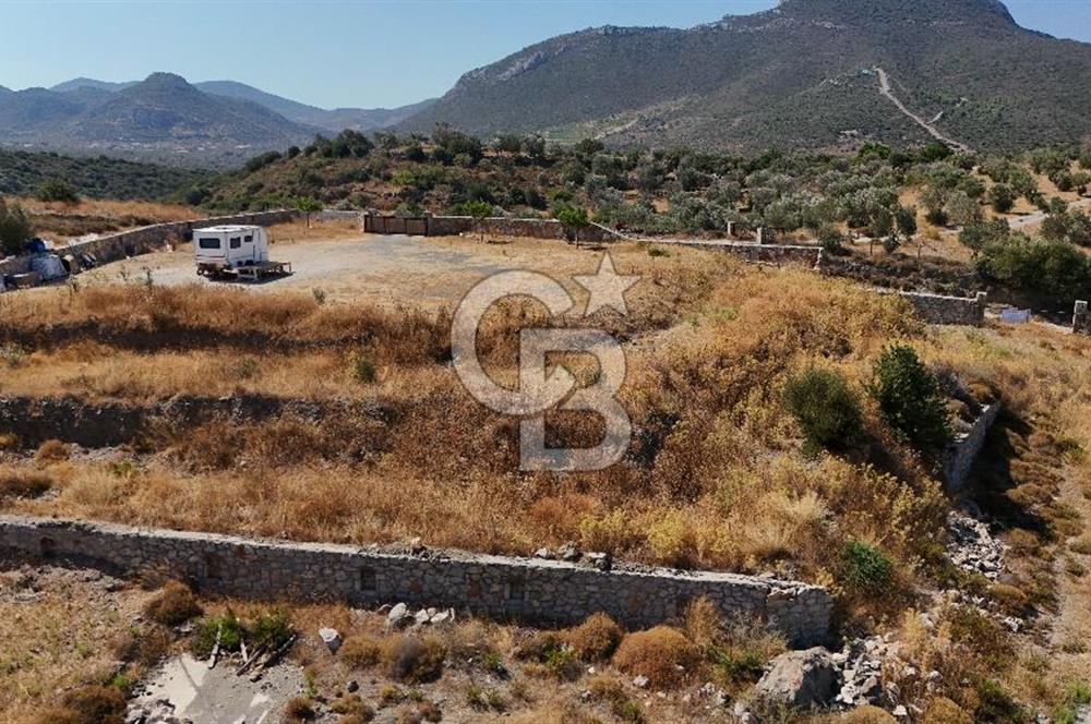 🌿 DATÇA / CUMALI DEĞİRMENBÜKÜ’NDE DOĞA VE DENİZLE İÇ İÇE BİR YAŞAM! 🌿