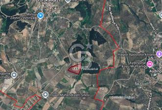 CB CLASS YÖRÜKALİ'DE 17300 M2 EV BAĞ VE ZEYTİNLİK