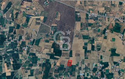 İzmir Bayındır'da, İçerisinde  240 Ceviz Ağacı ve Ev Olan Satılık Tarla
