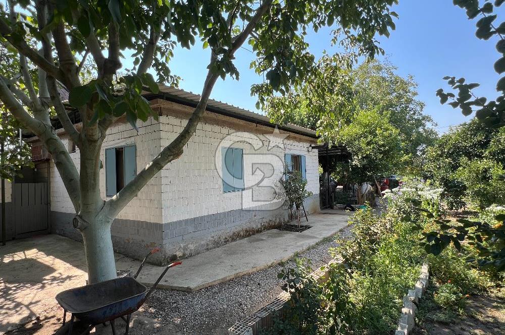 İzmir Bayındır'da, İçerisinde  240 Ceviz Ağacı ve Ev Olan Satılık Tarla