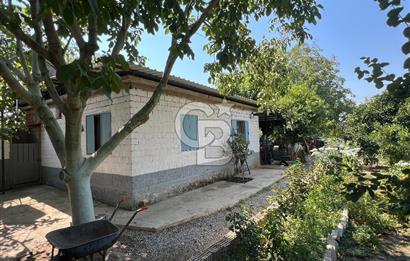 İzmir Bayındır'da, İçerisinde  240 Ceviz Ağacı ve Ev Olan Satılık Tarla