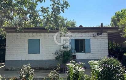 İzmir Bayındır'da, İçerisinde  240 Ceviz Ağacı ve Ev Olan Satılık Tarla