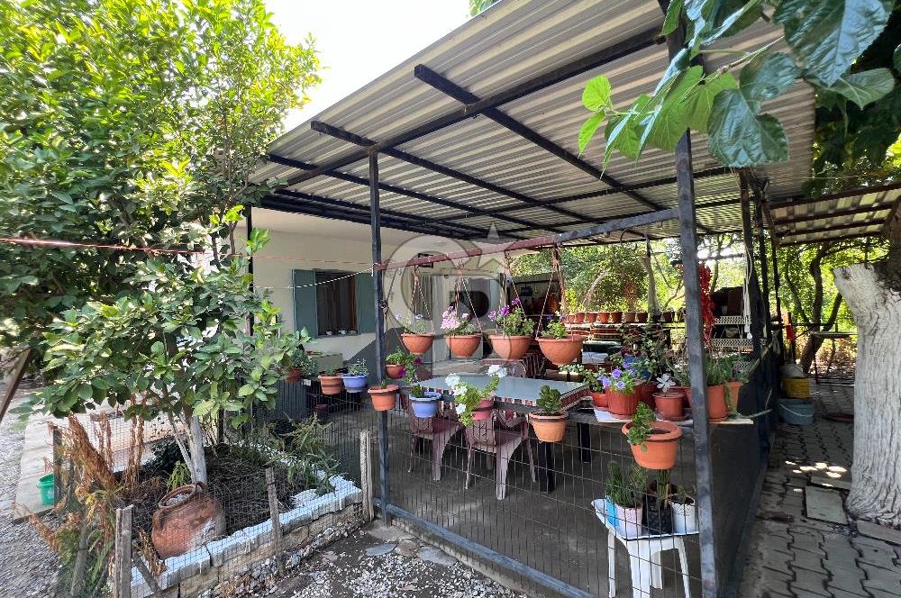 İzmir Bayındır'da, İçerisinde  240 Ceviz Ağacı ve Ev Olan Satılık Tarla