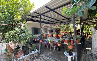 İzmir Bayındır'da, İçerisinde  240 Ceviz Ağacı ve Ev Olan Satılık Tarla