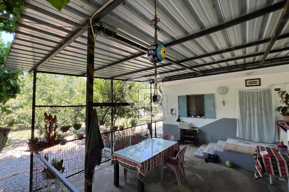 İzmir Bayındır'da, İçerisinde  240 Ceviz Ağacı ve Ev Olan Satılık Tarla