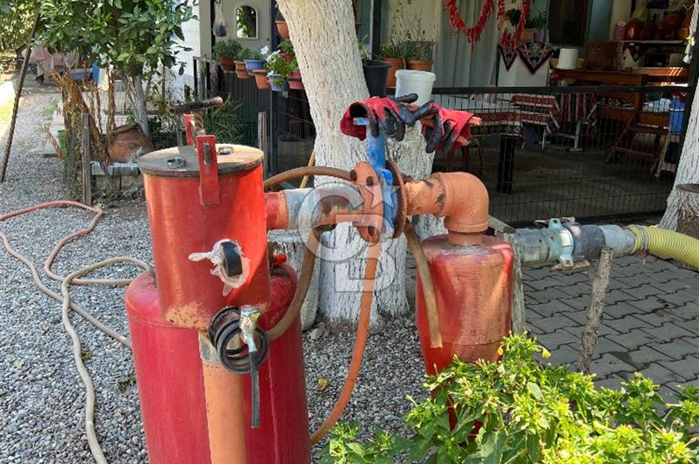 İzmir Bayındır'da, İçerisinde  240 Ceviz Ağacı ve Ev Olan Satılık Tarla