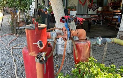 İzmir Bayındır'da, İçerisinde  240 Ceviz Ağacı ve Ev Olan Satılık Tarla