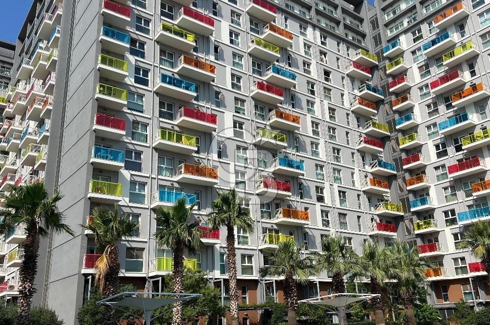 Soyak Optimus Kiralık Havuz Cepheli Ebeveyn Banyolu Kapalı Mutfak 2+1