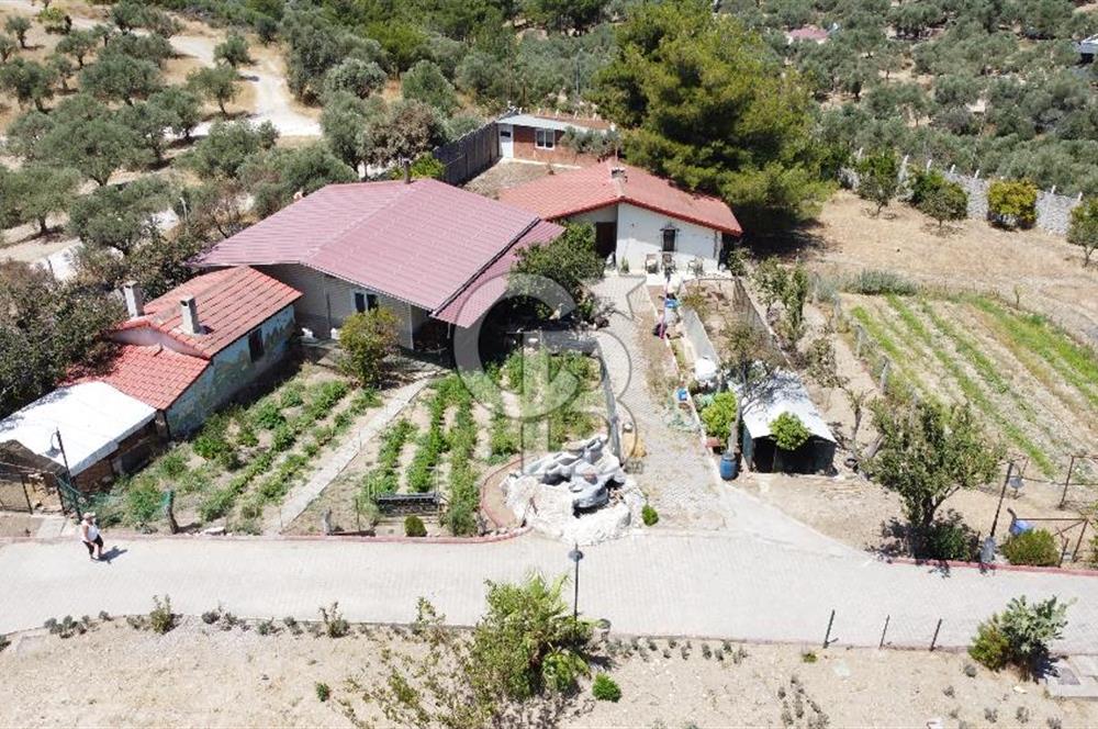 İZMİR TORBALI 16500 M2 İÇİNDE NEVŞEHİR TAŞ SATILIK MALİKHANE 