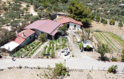 İZMİR TORBALI 16500 M2 İÇİNDE NEVŞEHİR TAŞ SATILIK MALİKHANE 