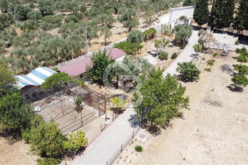 İZMİR TORBALI 16500 M2 İÇİNDE NEVŞEHİR TAŞ SATILIK MALİKHANE 