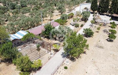 İZMİR TORBALI 16500 M2 İÇİNDE NEVŞEHİR TAŞ SATILIK MALİKHANE 