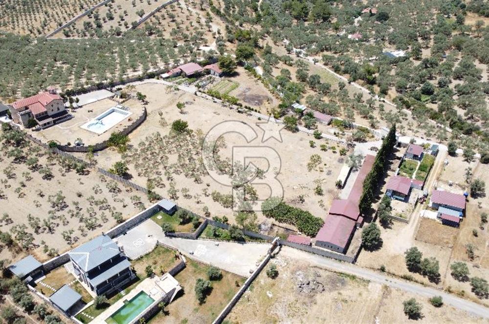 İZMİR TORBALI 16500 M2 İÇİNDE NEVŞEHİR TAŞ SATILIK MALİKHANE 