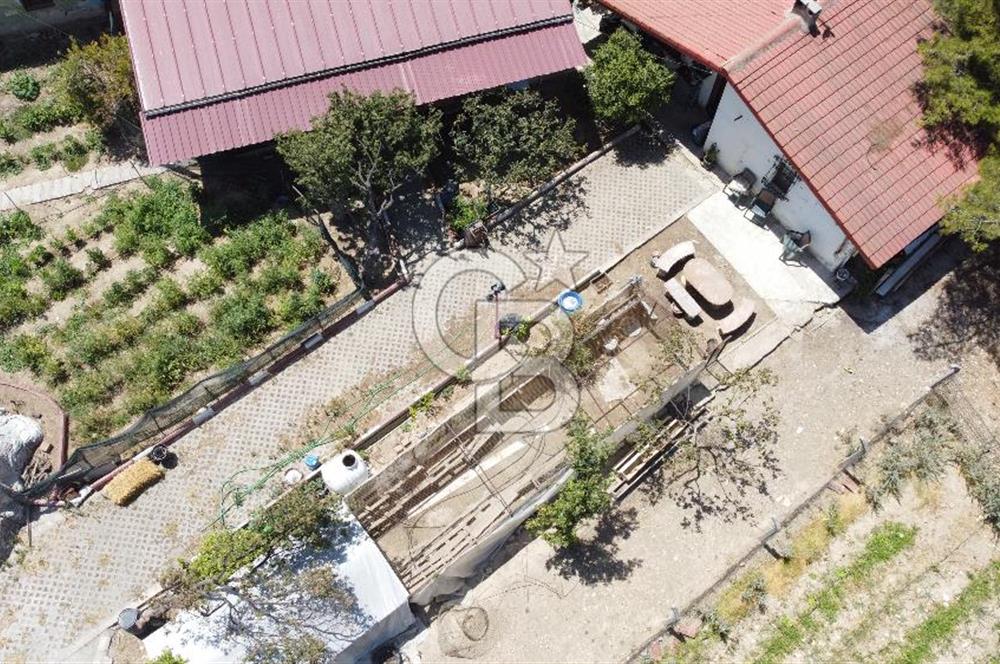 İZMİR TORBALI 16500 M2 İÇİNDE NEVŞEHİR TAŞ SATILIK MALİKHANE 