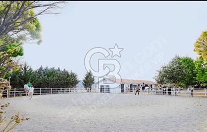 Keçiören/Sarıbeyler'de Devren Kiralık Faal Atlı Binicilik Tesisi