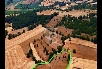 Dursunbey Hamzacık'ta Baraj ve Gölete Yakın, 5289 m² Tarla Fırsatı!