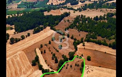 Dursunbey Hamzacık'ta Baraj ve Gölete Yakın, 5289 m² Tarla Fırsatı!