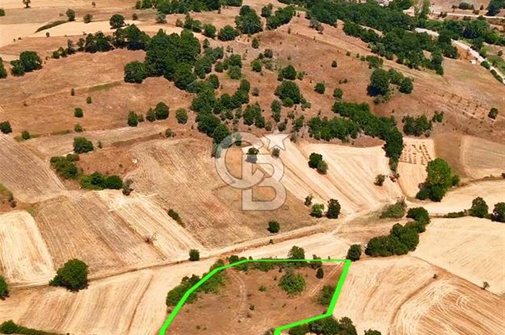 Dursunbey Hamzacık'ta Baraj ve Gölete Yakın, 5289 m² Tarla Fırsatı!