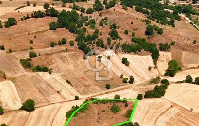 Dursunbey Hamzacık'ta Baraj ve Gölete Yakın, 5289 m² Tarla Fırsatı!