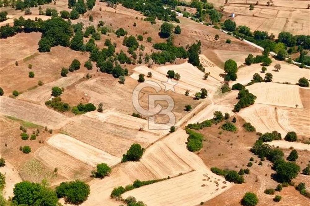 Balıkesir Dursunbey Hamzacık’ta Yola Yakın 3.972 m² Arazi – 168 Ada 148 Parsel