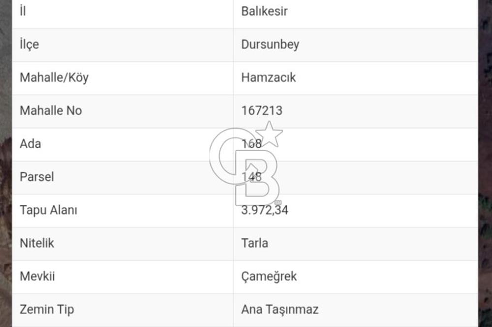 Balıkesir Dursunbey Hamzacık’ta Yola Yakın 3.972 m² Arazi – 168 Ada 148 Parsel