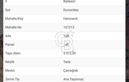 Balıkesir Dursunbey Hamzacık’ta Yola Yakın 3.972 m² Arazi – 168 Ada 148 Parsel