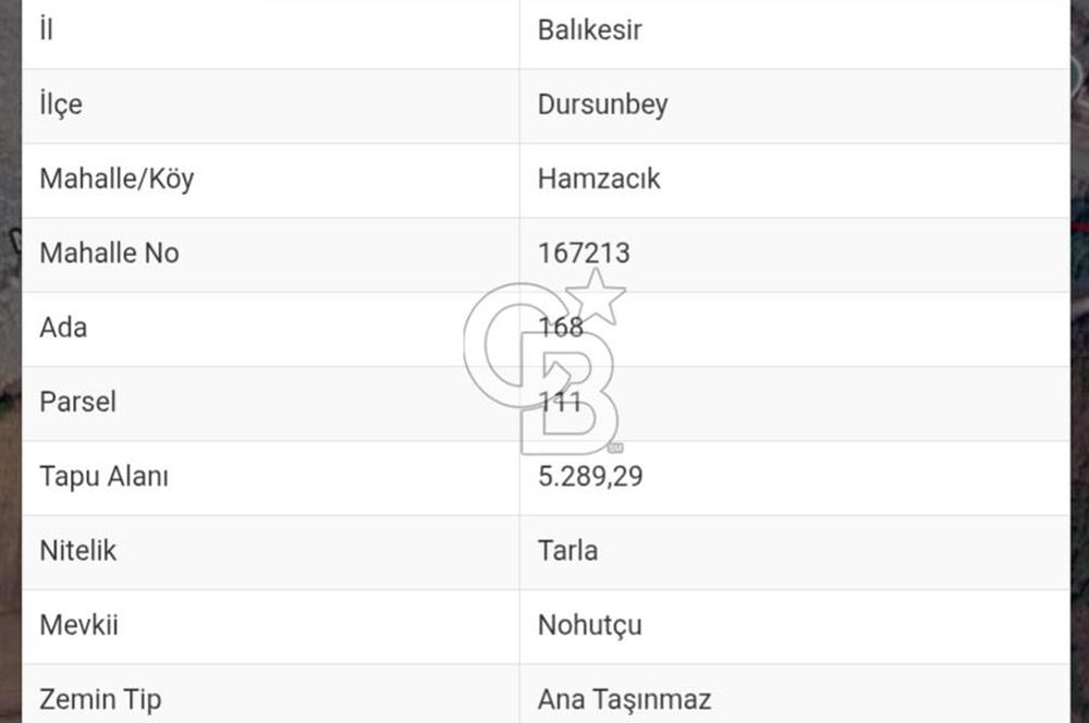 Dursunbey Hamzacık'ta Baraj ve Gölete Yakın, 5289 m² Tarla Fırsatı!