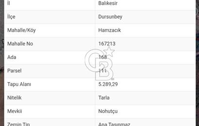 Dursunbey Hamzacık'ta Baraj ve Gölete Yakın, 5289 m² Tarla Fırsatı!