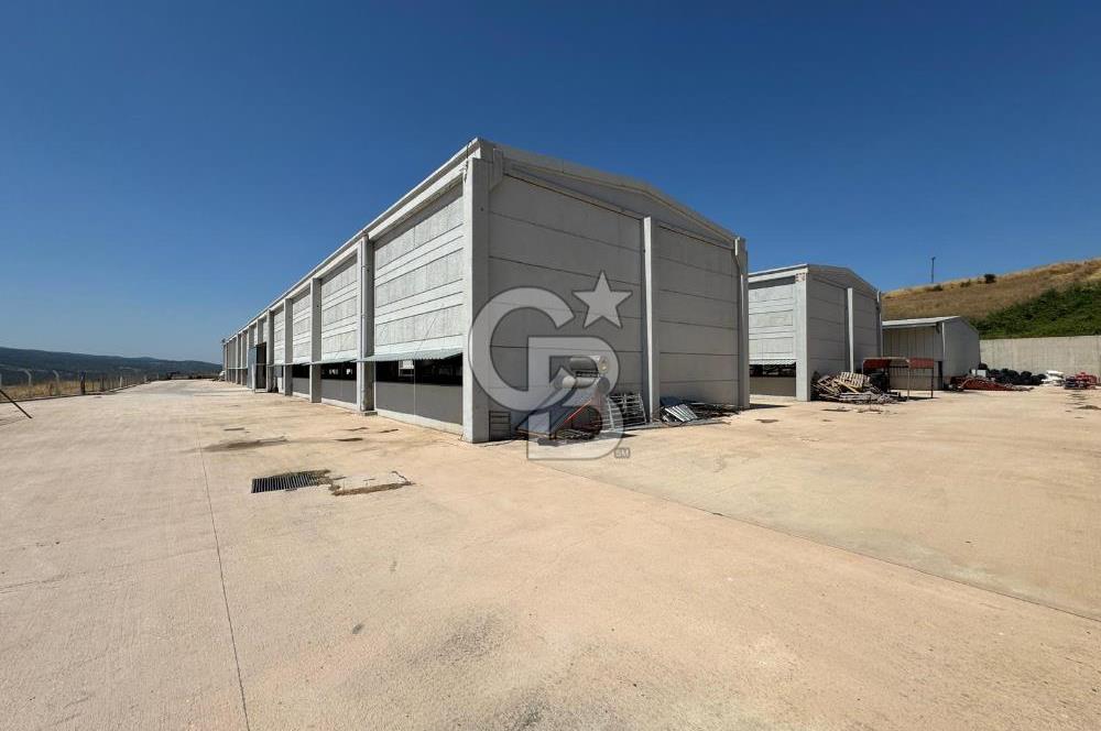 AB Standartlarında Yüksek Verimli KOYUN ÇİFTLİĞİ