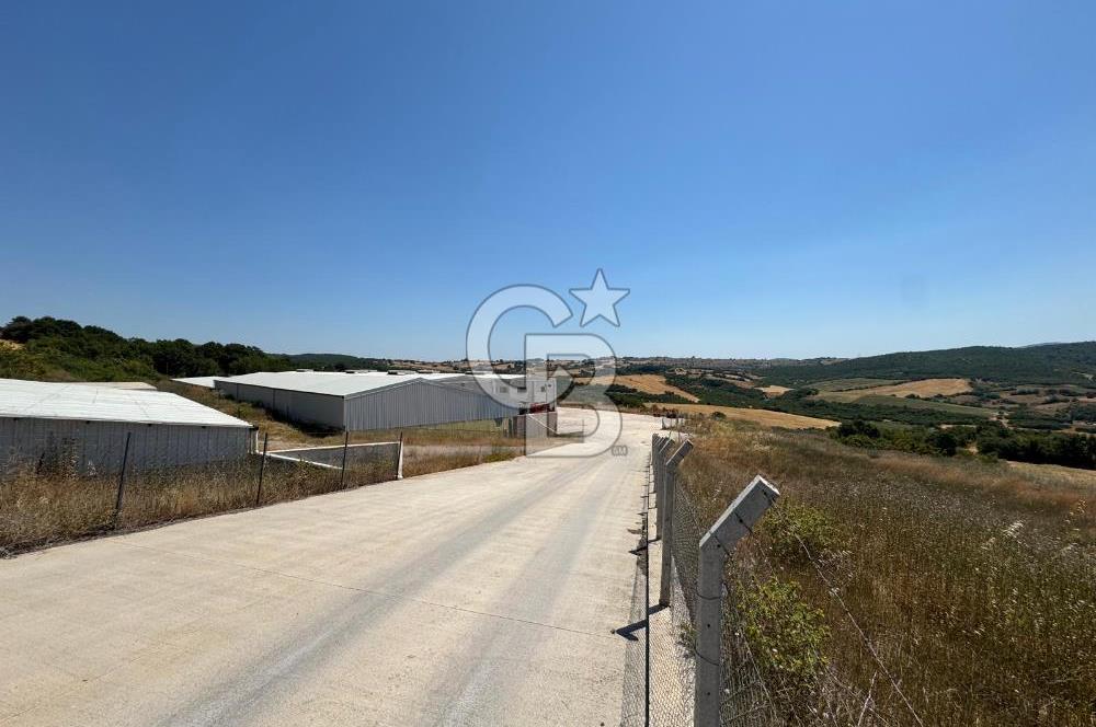 AB Standartlarında Yüksek Verimli KOYUN ÇİFTLİĞİ