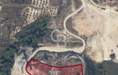 Kuşadası Soğucak’ta 9.694,35m² Satılık Konut İmarlı Arsa!