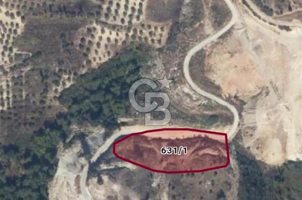 Kuşadası Soğucak’ta 6.617,23m² Satılık Konut İmarlı Arsa!