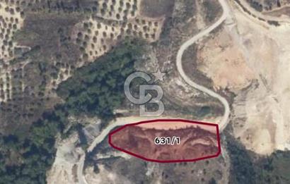 Kuşadası Soğucak’ta 6.617,23m² Satılık Konut İmarlı Arsa!