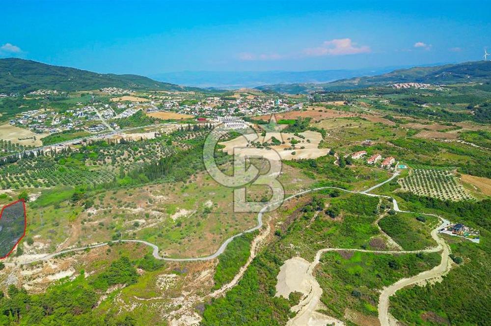 Kuşadası Soğucak’ta 6.617,23m² Satılık Konut İmarlı Arsa!