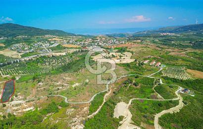Kuşadası Soğucak’ta 6.617,23m² Satılık Konut İmarlı Arsa!
