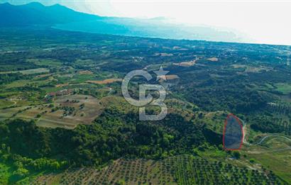 Kuşadası Soğucak’ta 6.617,23m² Satılık Konut İmarlı Arsa!