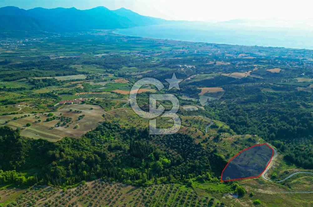 Kuşadası Soğucak’ta 6.617,23m² Satılık Konut İmarlı Arsa!