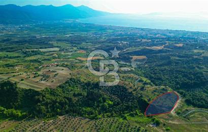 Kuşadası Soğucak’ta 6.617,23m² Satılık Konut İmarlı Arsa!