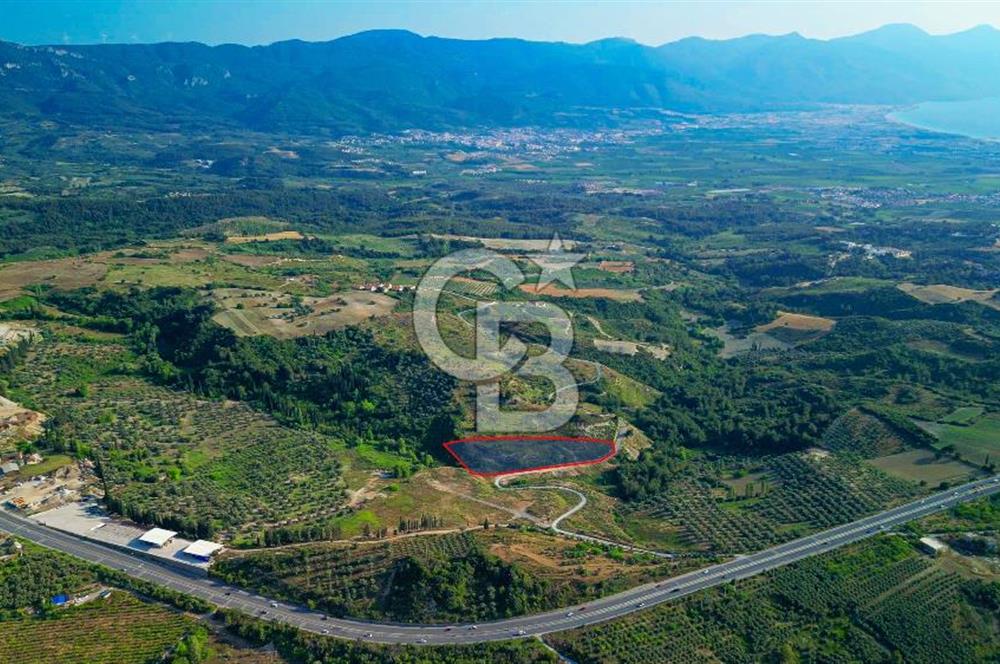 Kuşadası Soğucak’ta 6.617,23m² Satılık Konut İmarlı Arsa!