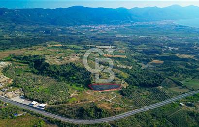 Kuşadası Soğucak’ta 6.617,23m² Satılık Konut İmarlı Arsa!