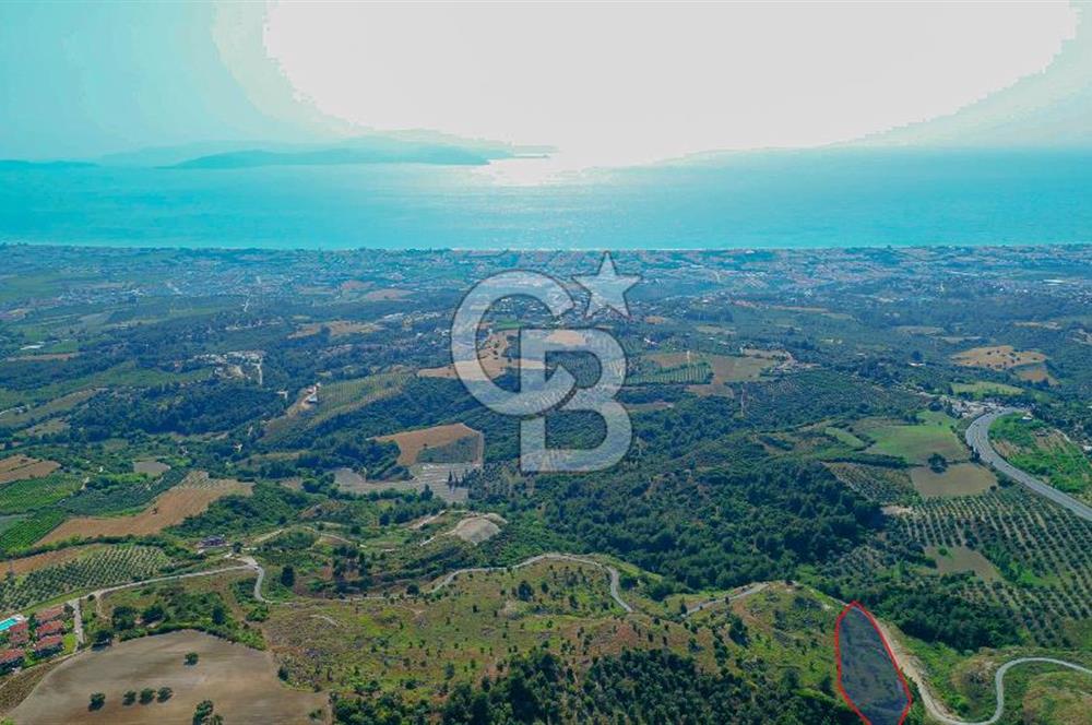 Kuşadası Soğucak’ta 6.617,23m² Satılık Konut İmarlı Arsa!